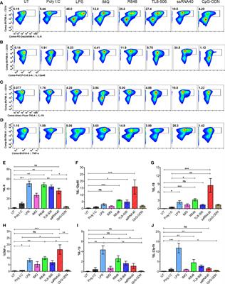 Follicular Helper T (TFH) Cell Targeting by TLR8 Signaling For Improving HBsAg-Specific B Cell Response In Chronic Hepatitis B Patients